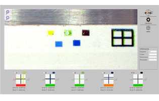 web-inspection-system